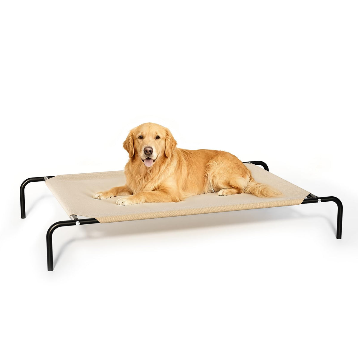 Cama elevada STARLATTA para perros grandes de 50 pulgadas, descanso estable al aire libre o en casa.