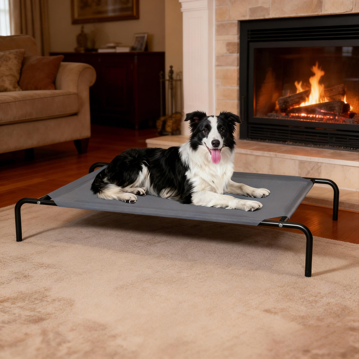 STARLATTA cama para perro elevada con enfriamiento al aire libre, descanso fresco para razas grandes.