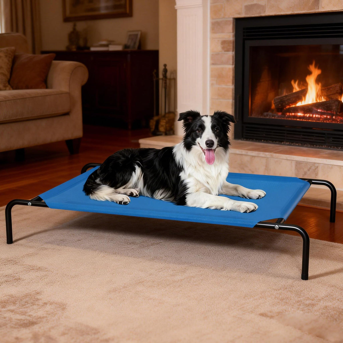 STARLATTA cama elevada con malla transpirable para enfriar al perro