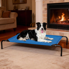 STARLATTA cama elevada con malla transpirable para enfriar al perro