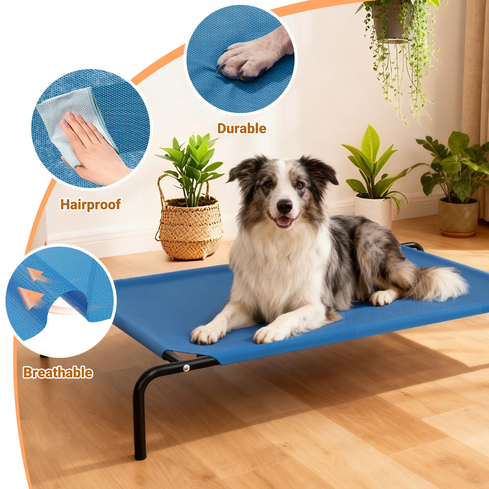STARLATTA cama para perros grandes 50,8 x 31 pulgadas