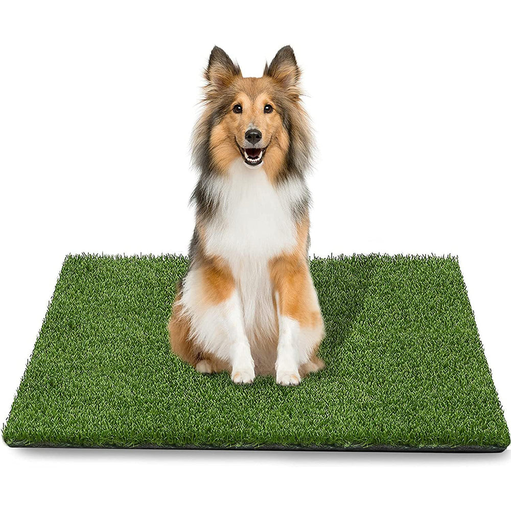 STARROAD-TIM césped artificial para perros, tapete de entrenamiento, ideal para potty training.