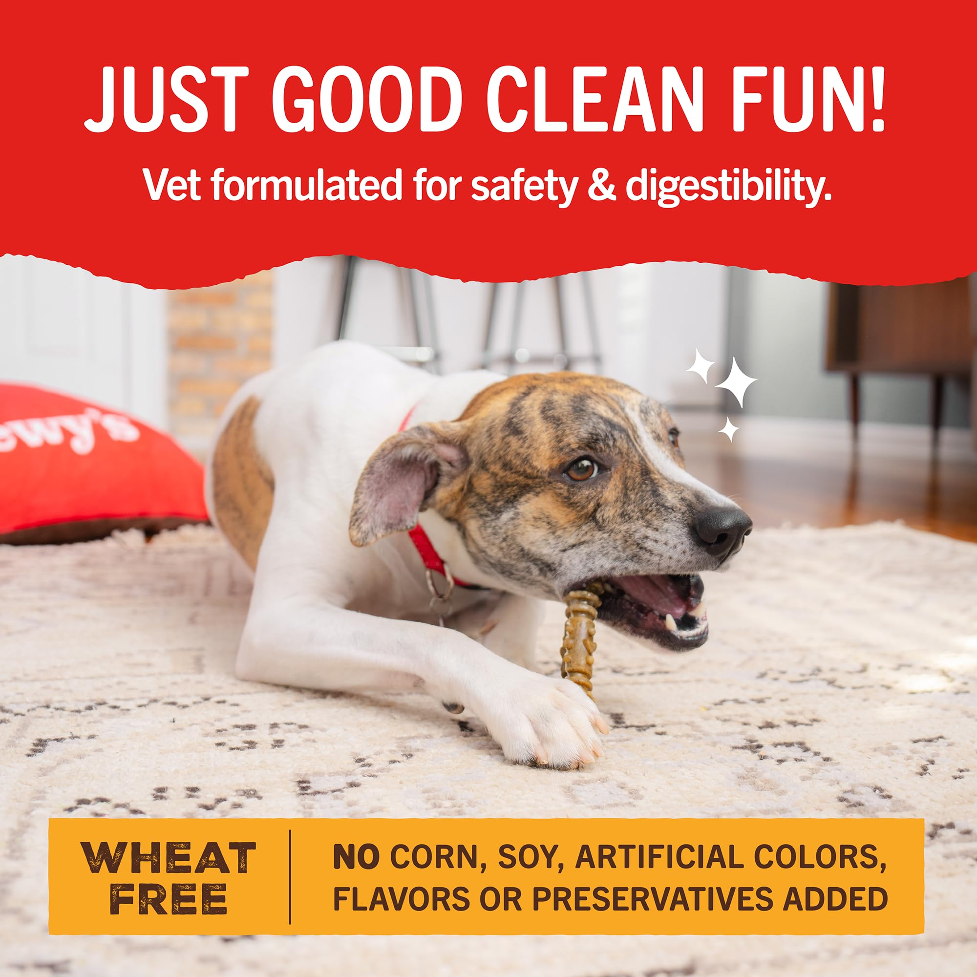 Stella & Chewy's Dental Delights: bolsa de 23.2 oz para perros grandes.