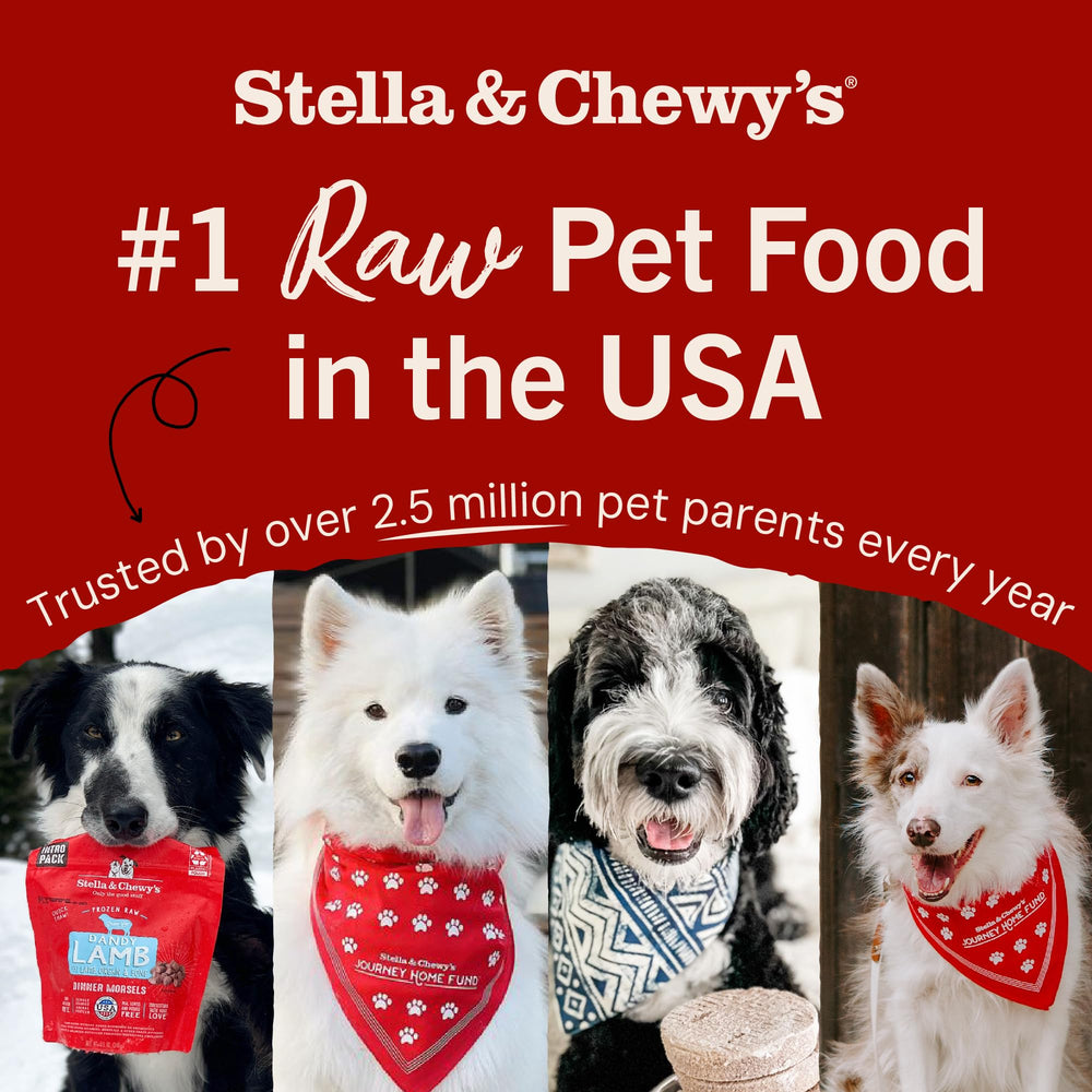 Patty de Stella & Chewy's con probióticos para apoyo digestivo.