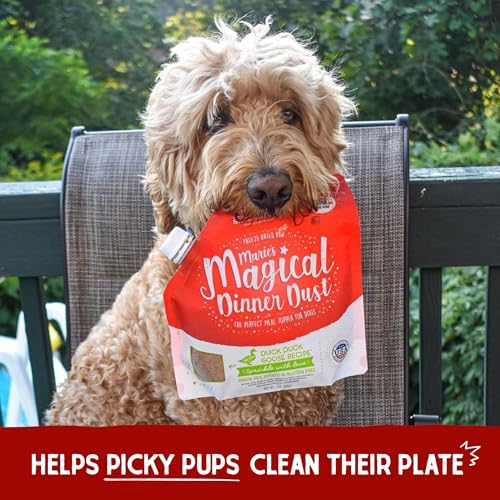 Sin conservantes ni granos, enfoque claro en ingredientes simples para perros.