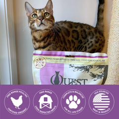 Steve's Real Food Quest Cat Food: nuggets de pollo listos para usar como comida o topper