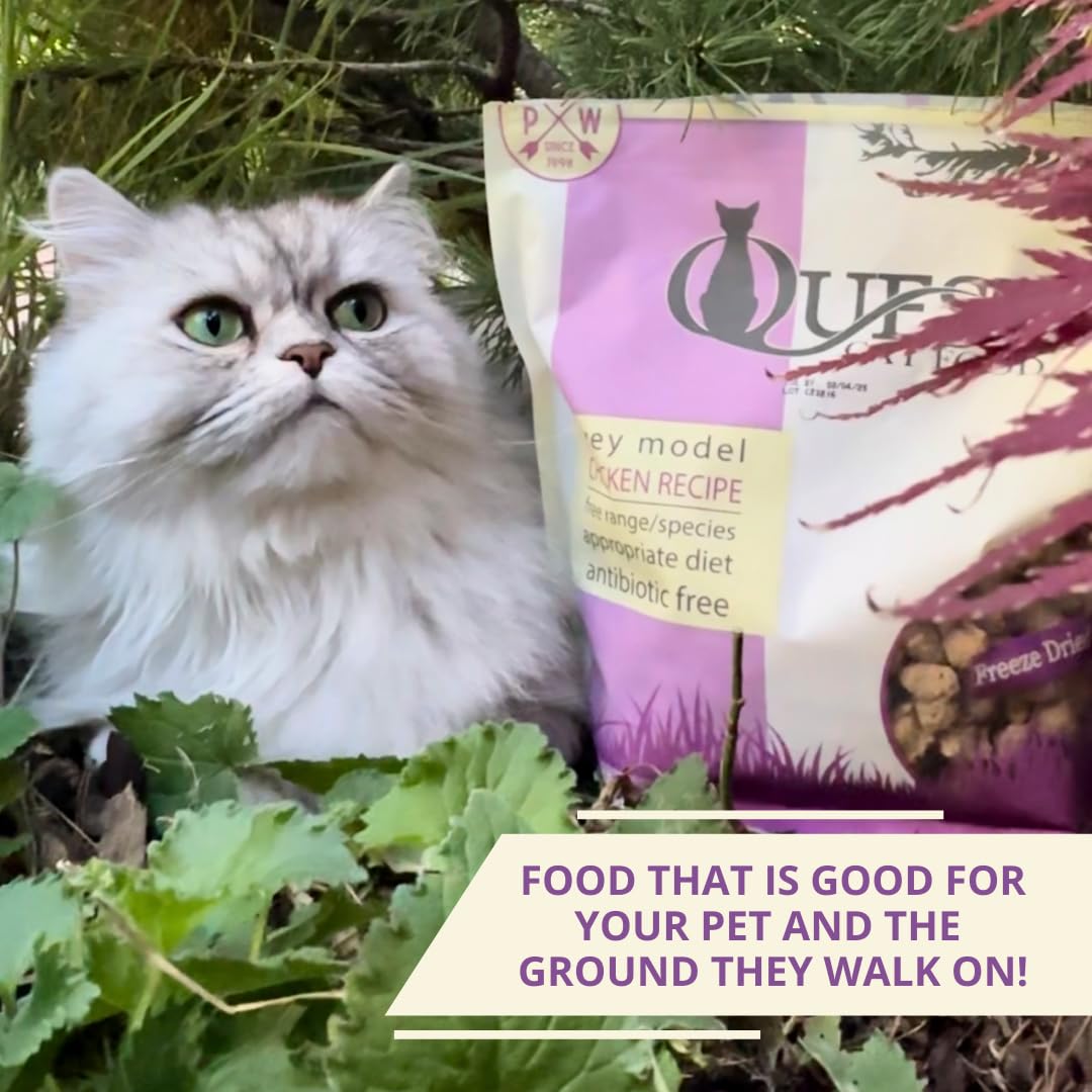 Steve's Real Food Quest Cat Food: origen de pollo en granja familiar en EEUU