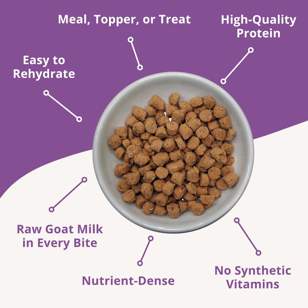 Steve's Real Food Quest Cat Food: porción de 10 oz para servir fácilmente
