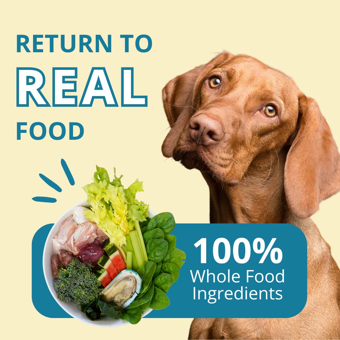 Steve's Real Food en cuenco, complemento fácil para perros y gatos.