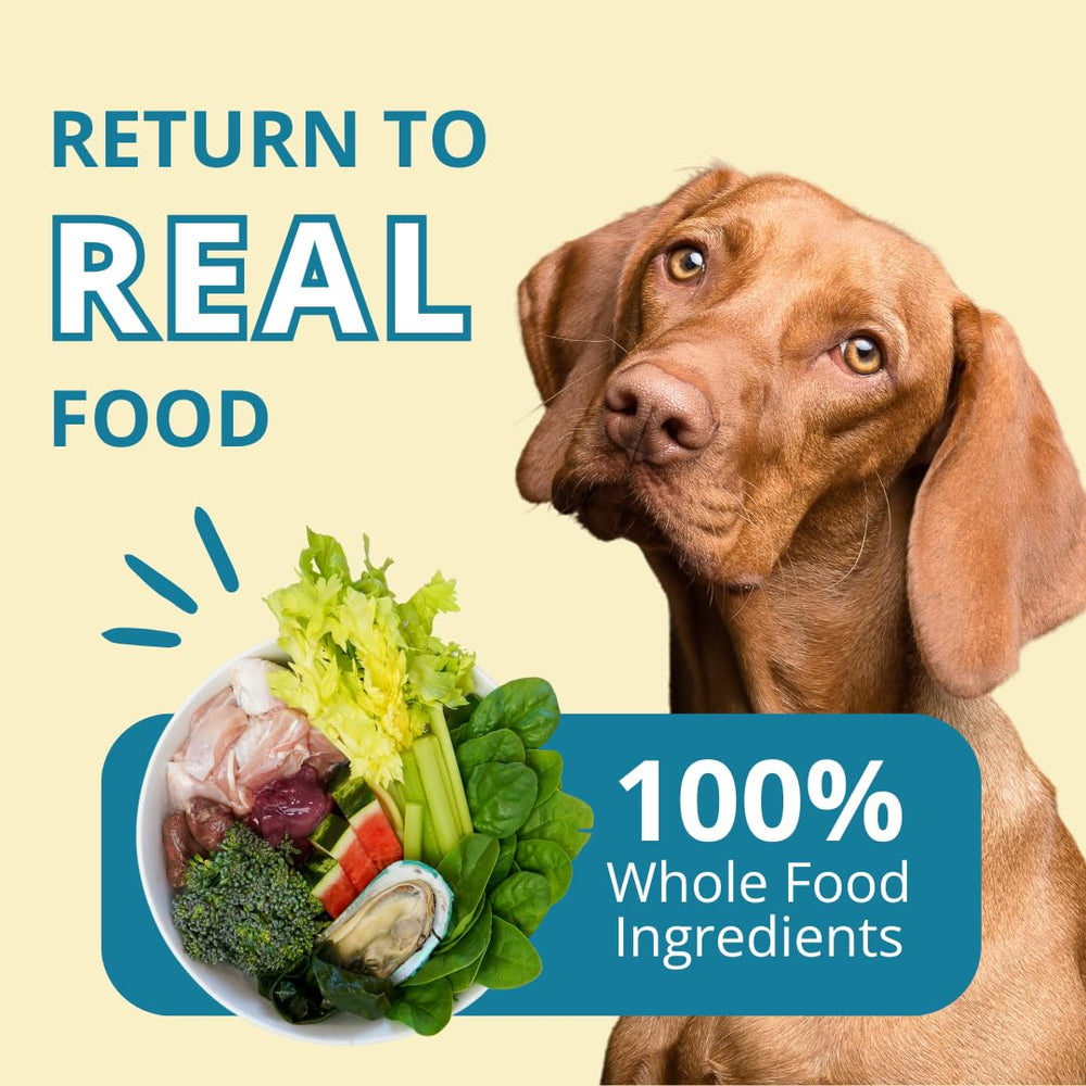 Steve's Real Food en cuenco, complemento fácil para perros y gatos.