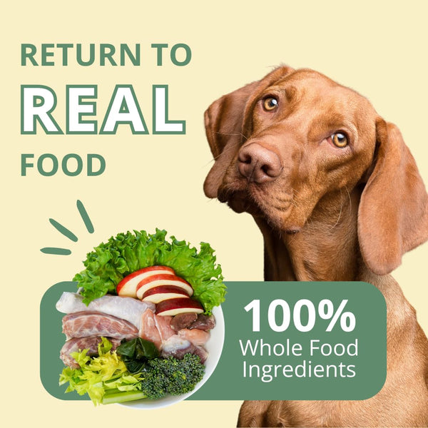 Producto Steve's Real Food Turducken para perros y gatos, apto para comer en casa.