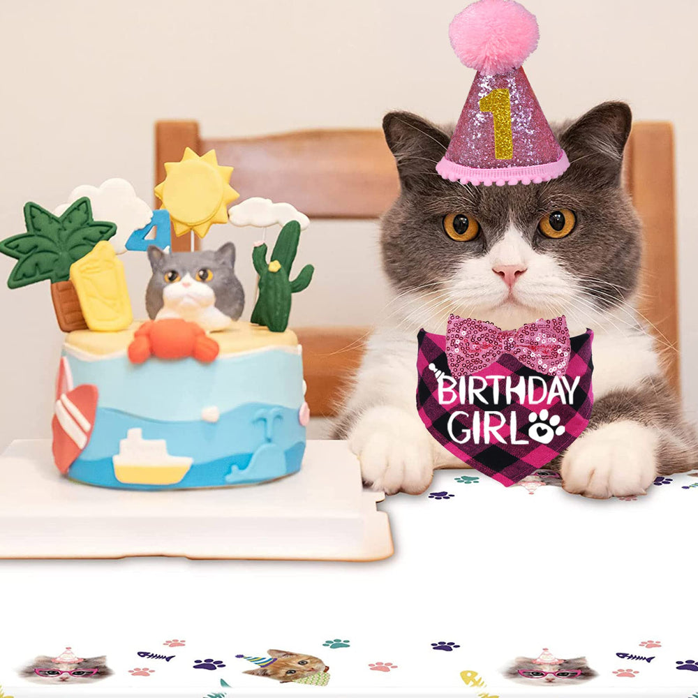 STMK conjunto de decoración para cumpleaños de gatos, ideal para sesiones de fotos