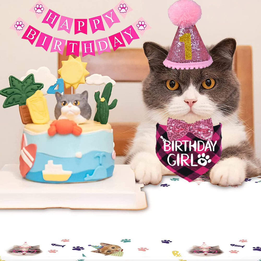 Conjunto decoraciones STMK para cumpleaños de gatos, listos para montar