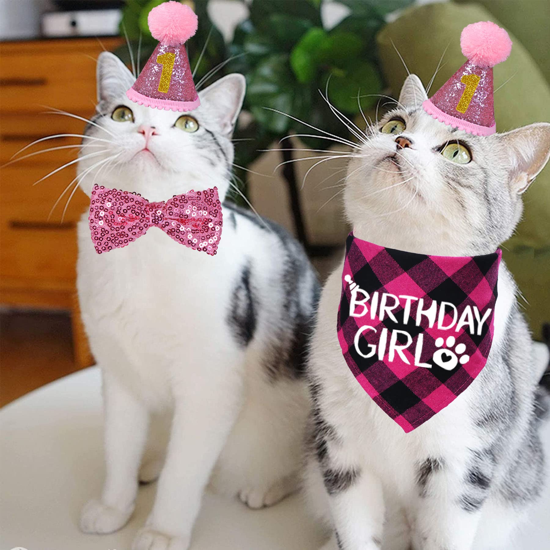 STMK escena decorativa de cumpleaños para gato
