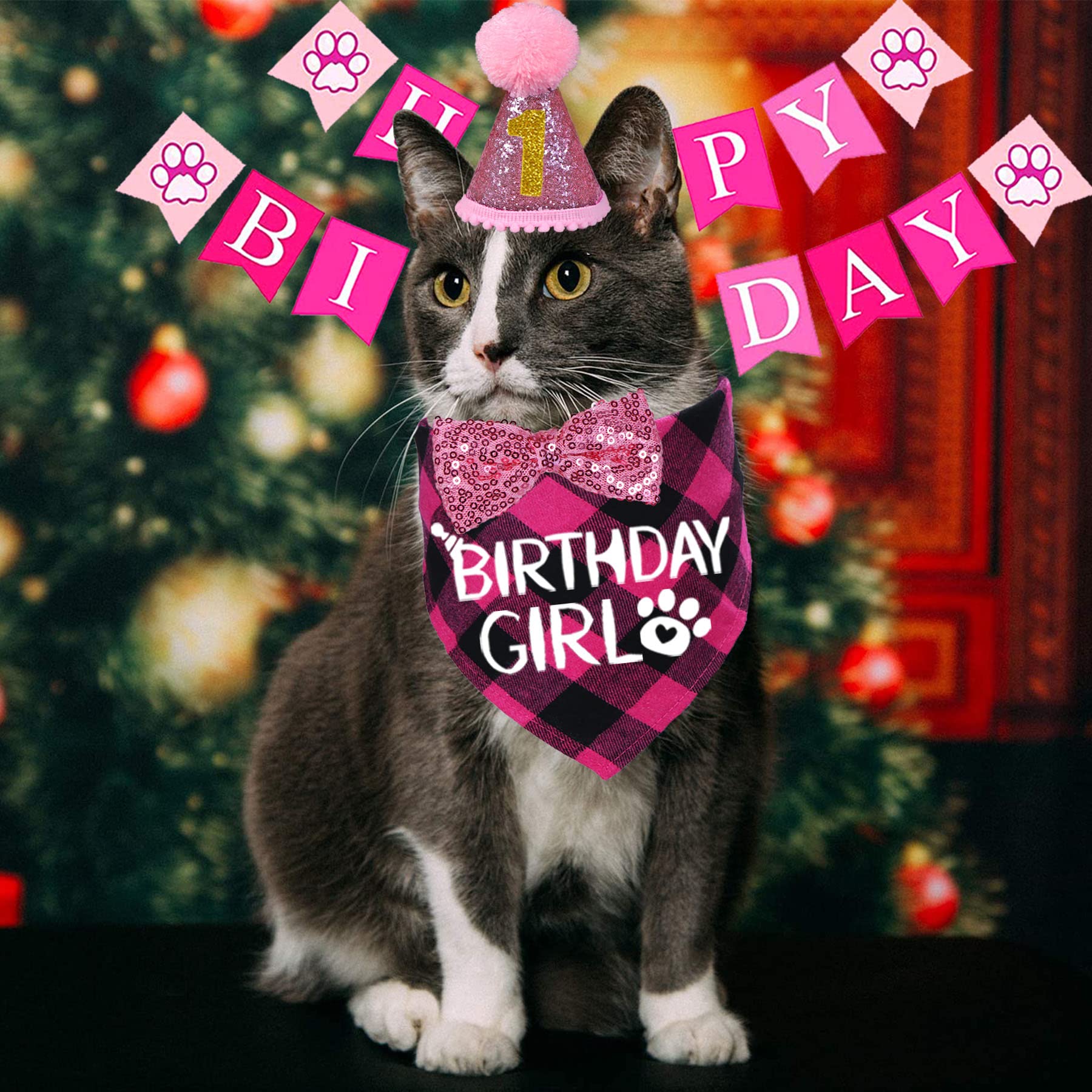 Gorra de cumpleaños STMK para gato, azul-rosa festiva con ajuste