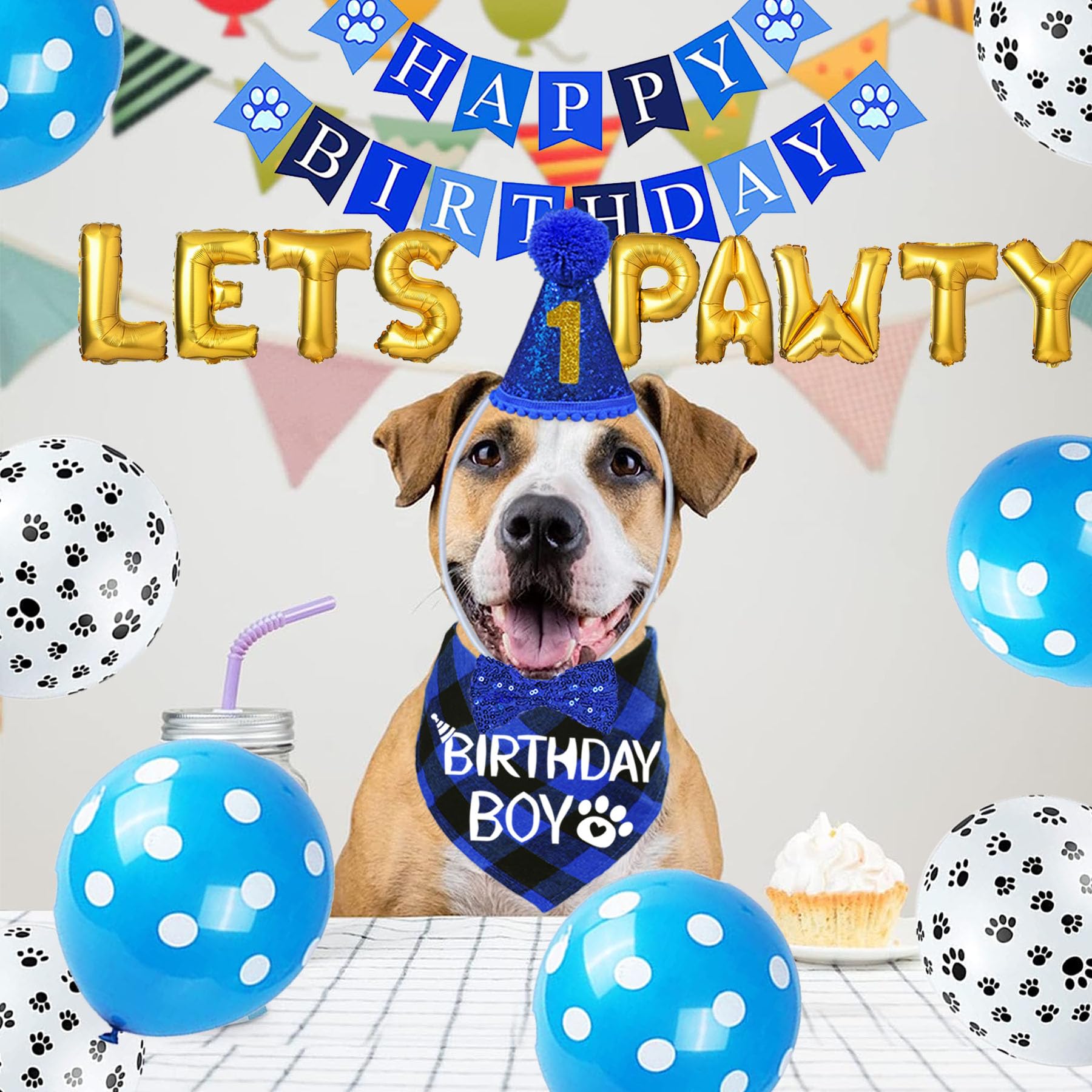 Números de cumpleaños STMK para indicar la edad del perro.