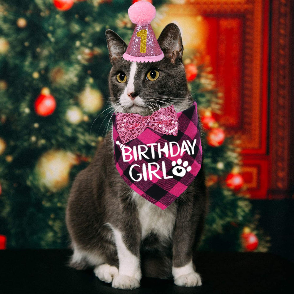 STMK sombrero de cumpleaños para gato, brillo y reutilizable
