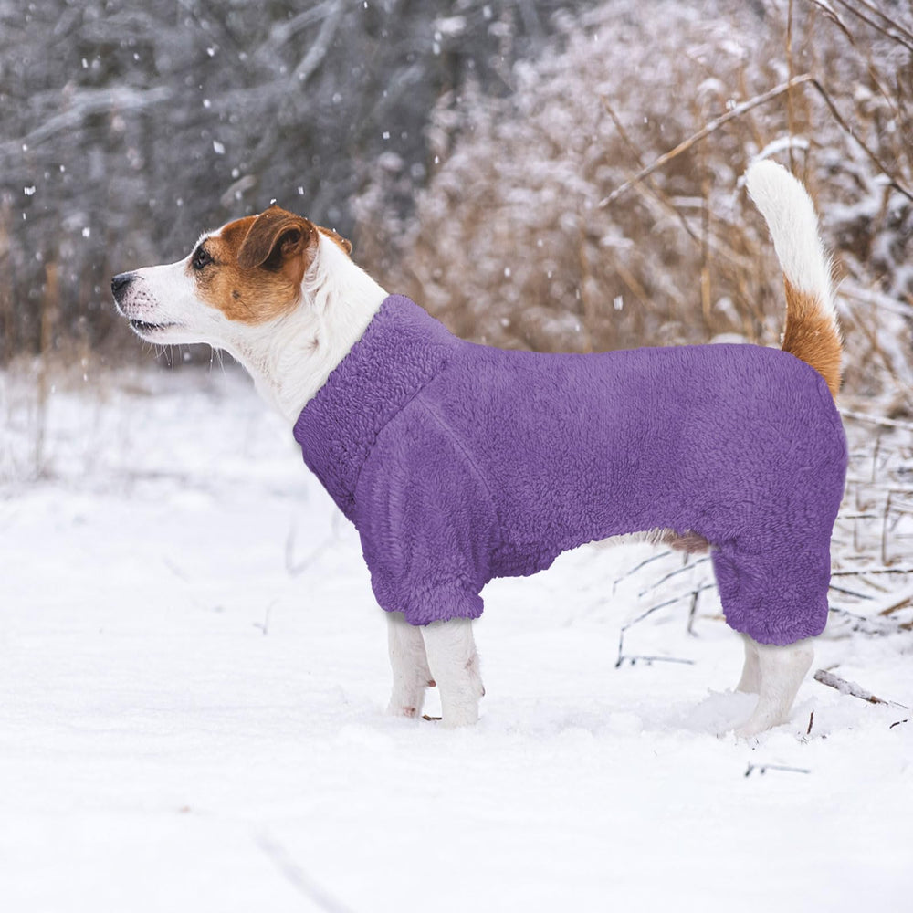 Regalo ideal: pijama Stpiatue para perros pequeños