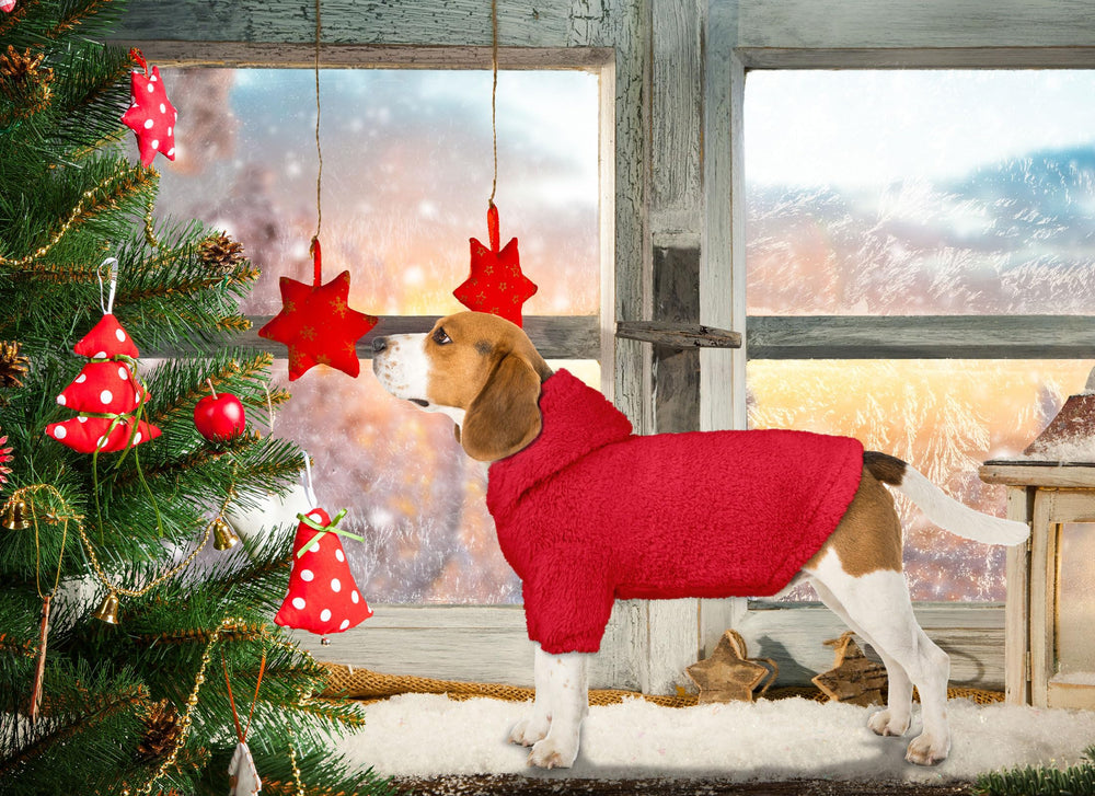 Stpiatue sudadera roja para perro grande vista posterior, protección al frío.