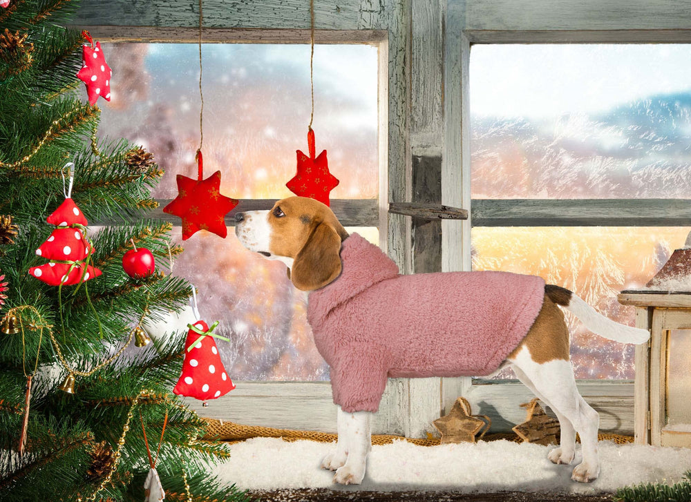 Capucha de la sudadera para perro mediano Stpiatue, ajuste cómodo.