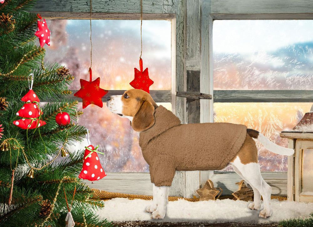 Stpiatue sudadera para perro pequeño, espalda, estilo cálido y suave.