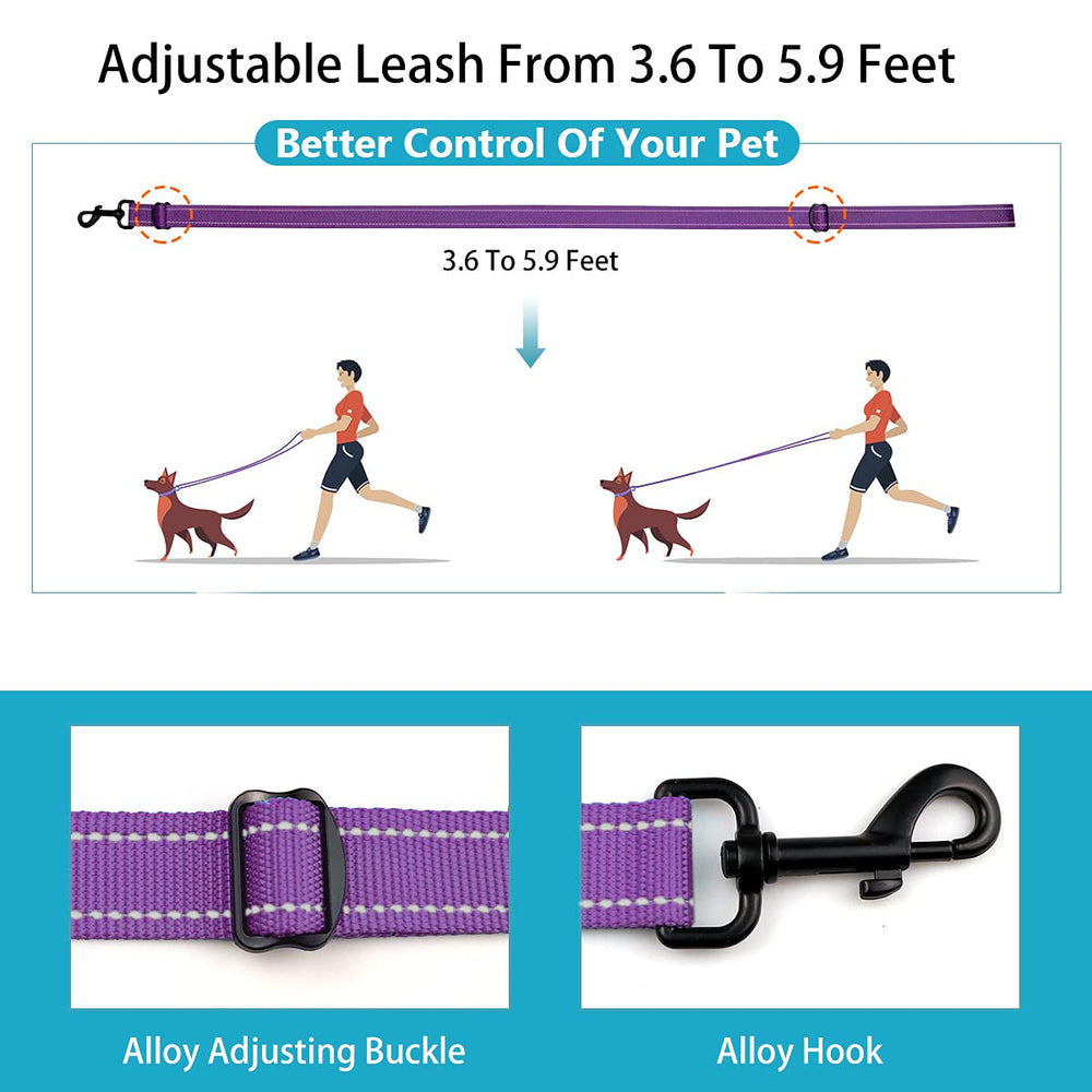 Stpiatue collar con tallas ajustables para perros pequeños