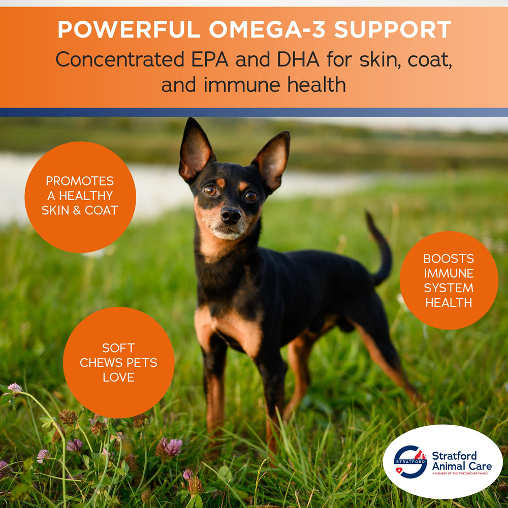 Stratford Omega 3 para perros: envase con 60 masticables prácticos