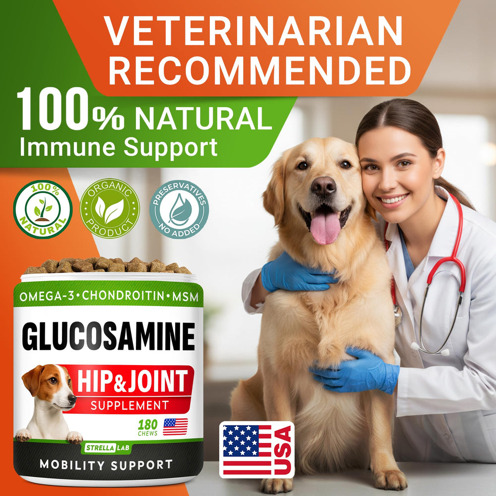 STRELLALAB glucosamina para perros grandes, dueño y perro, experiencia de cuidado diario.