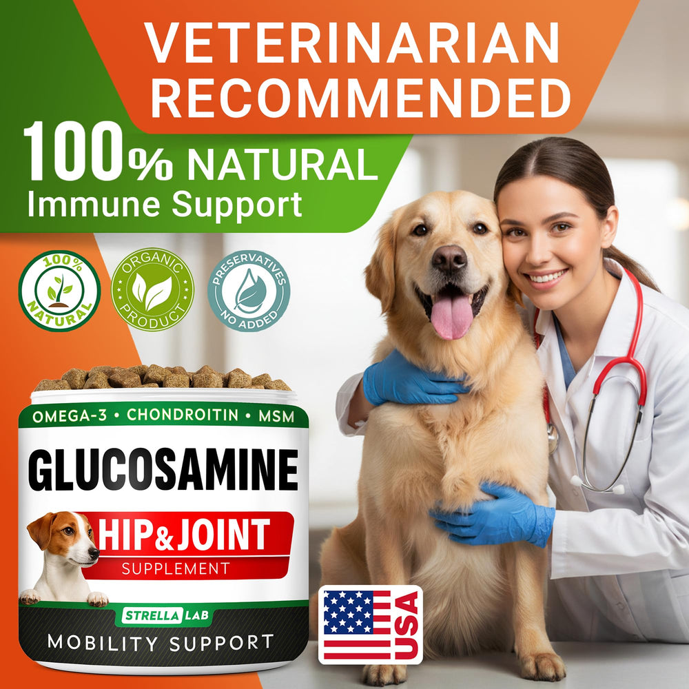STRELLALAB pack de valor 2x120, solución diaria para movilidad de perros grandes.