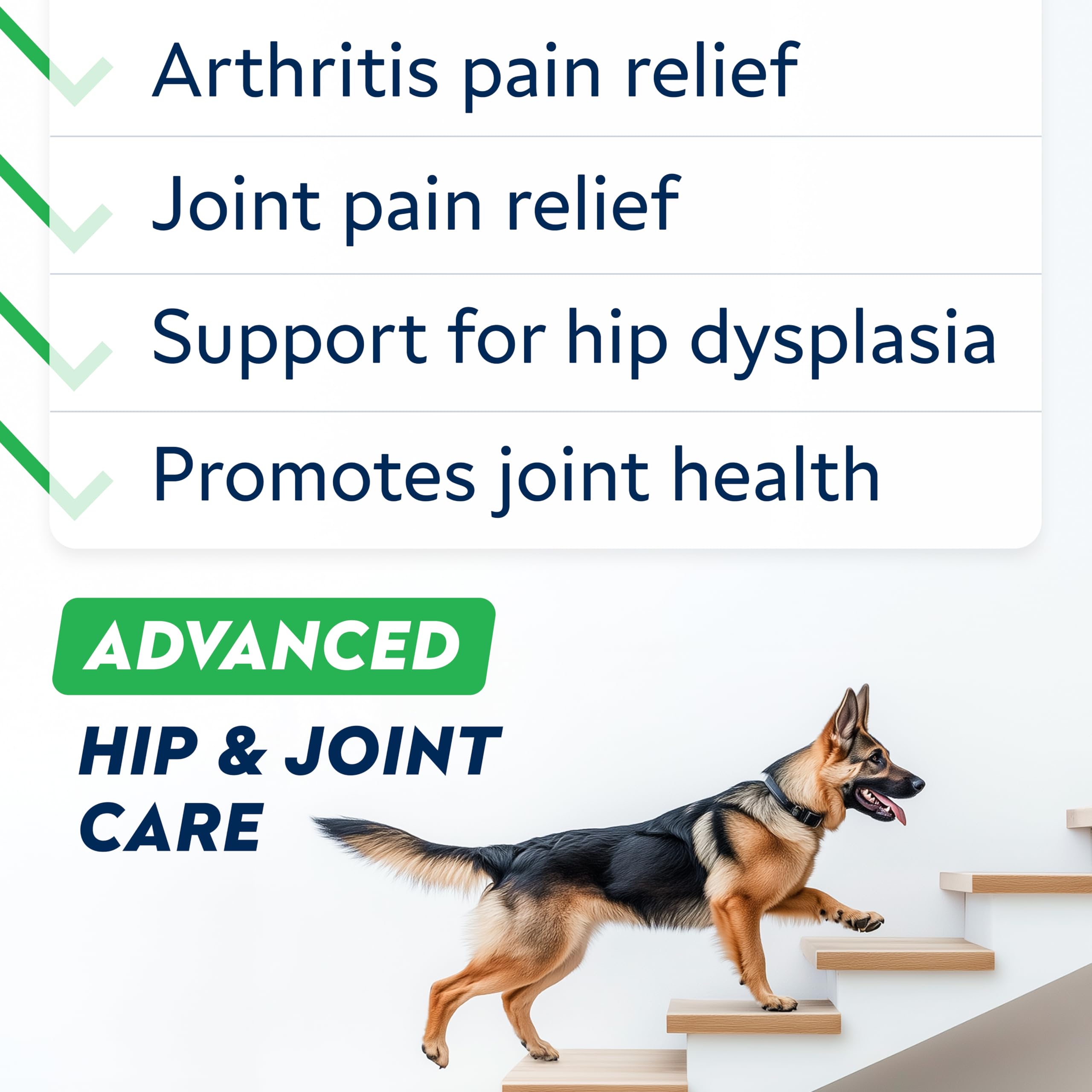 STRELLALAB mejillón de labio verde, ingrediente natural para apoyar articulaciones caninas