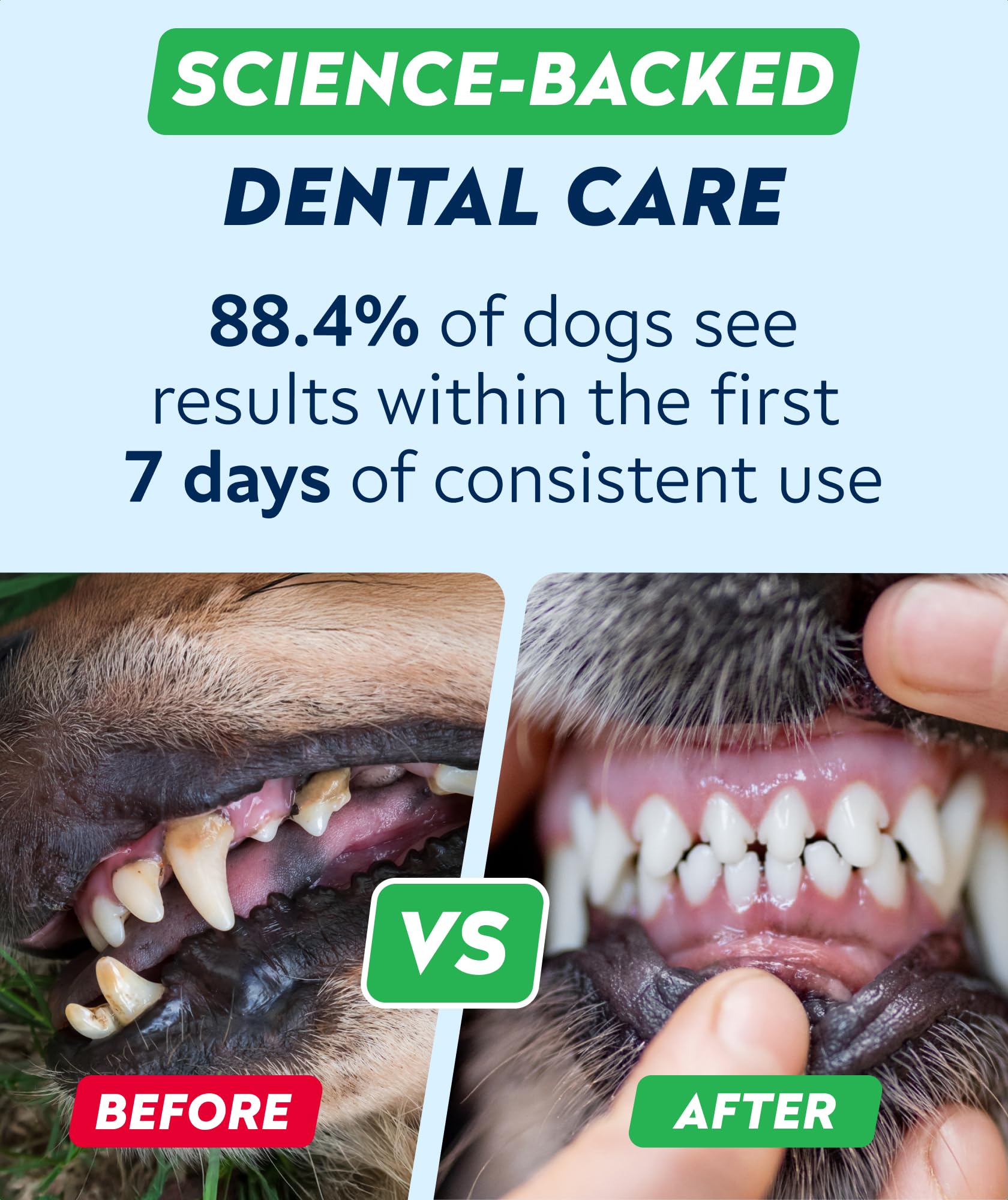 STRELLALAB mezcla al alimento, polvo dental para perros mejora la limpieza diaria.