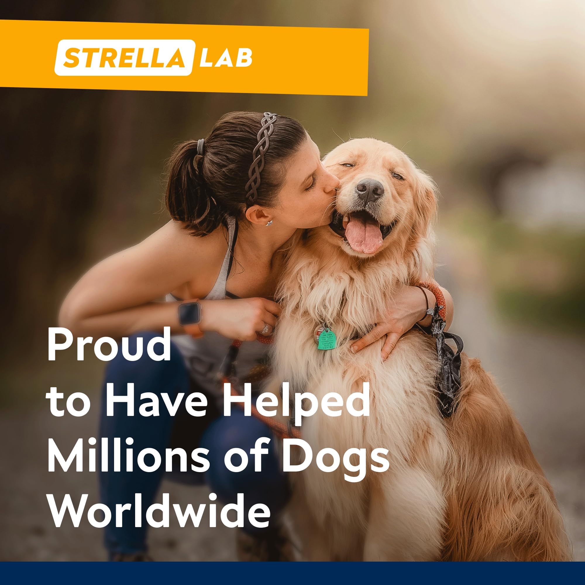 Perro relajado en casa gracias a STRELLALAB y sus premios calmantes