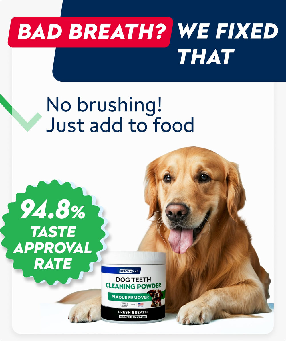 STRELLALAB uso diario, polvo dental para higiene bucal.