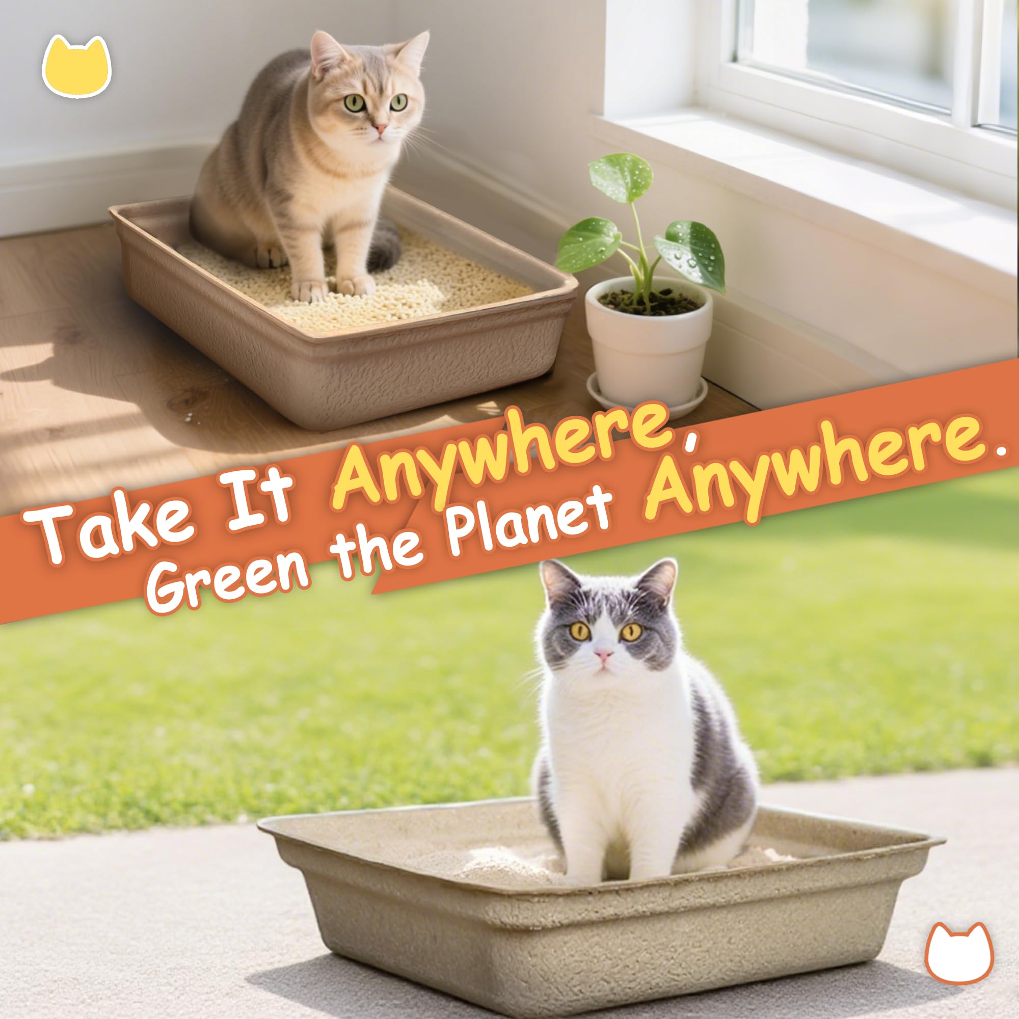 Strenthychosing: base amplia y estable, ideal para gatos activos