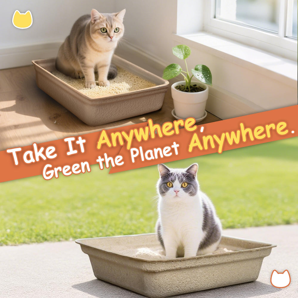 Strenthychosing: base amplia y estable, ideal para gatos activos