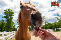 Stud Muffins Slims: ingredientes naturales y bajo azúcar para caballos sensibles