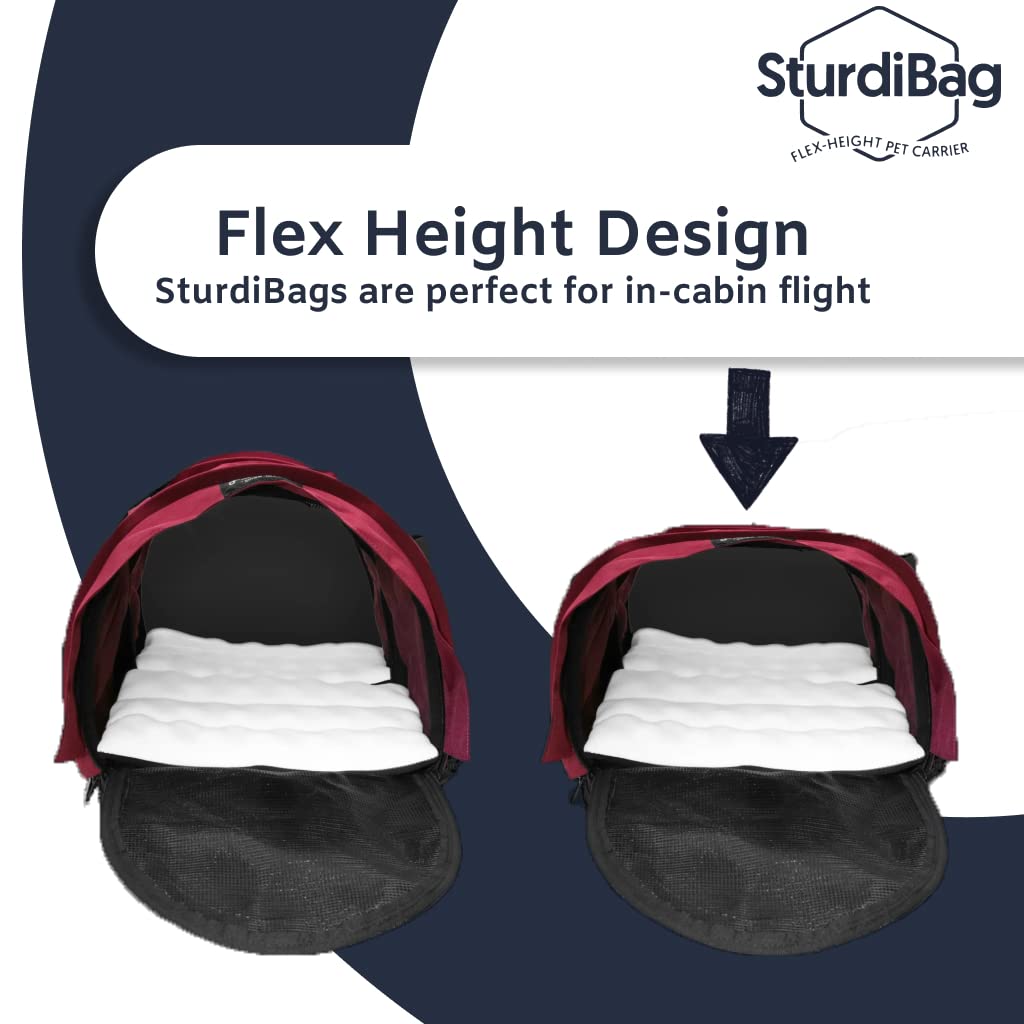 SturdiBag XL, capacidad hasta 40 libras, ideal para gatos y perros medianos.