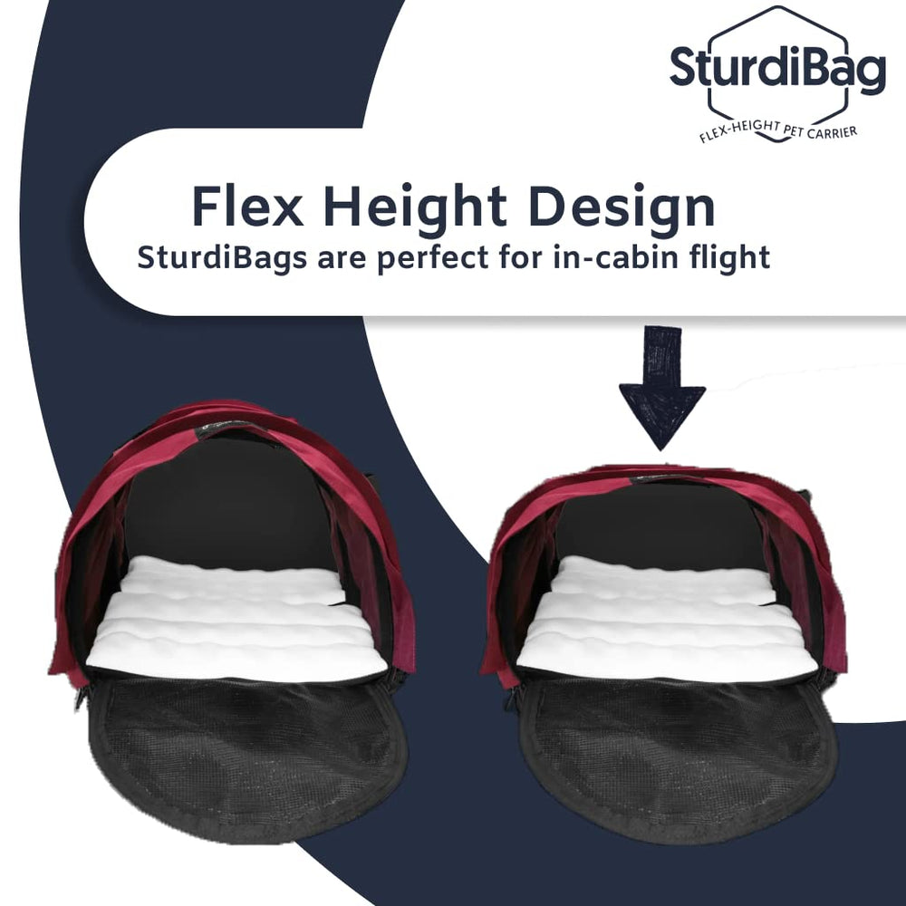 SturdiBag XL, capacidad hasta 40 libras, ideal para gatos y perros medianos.