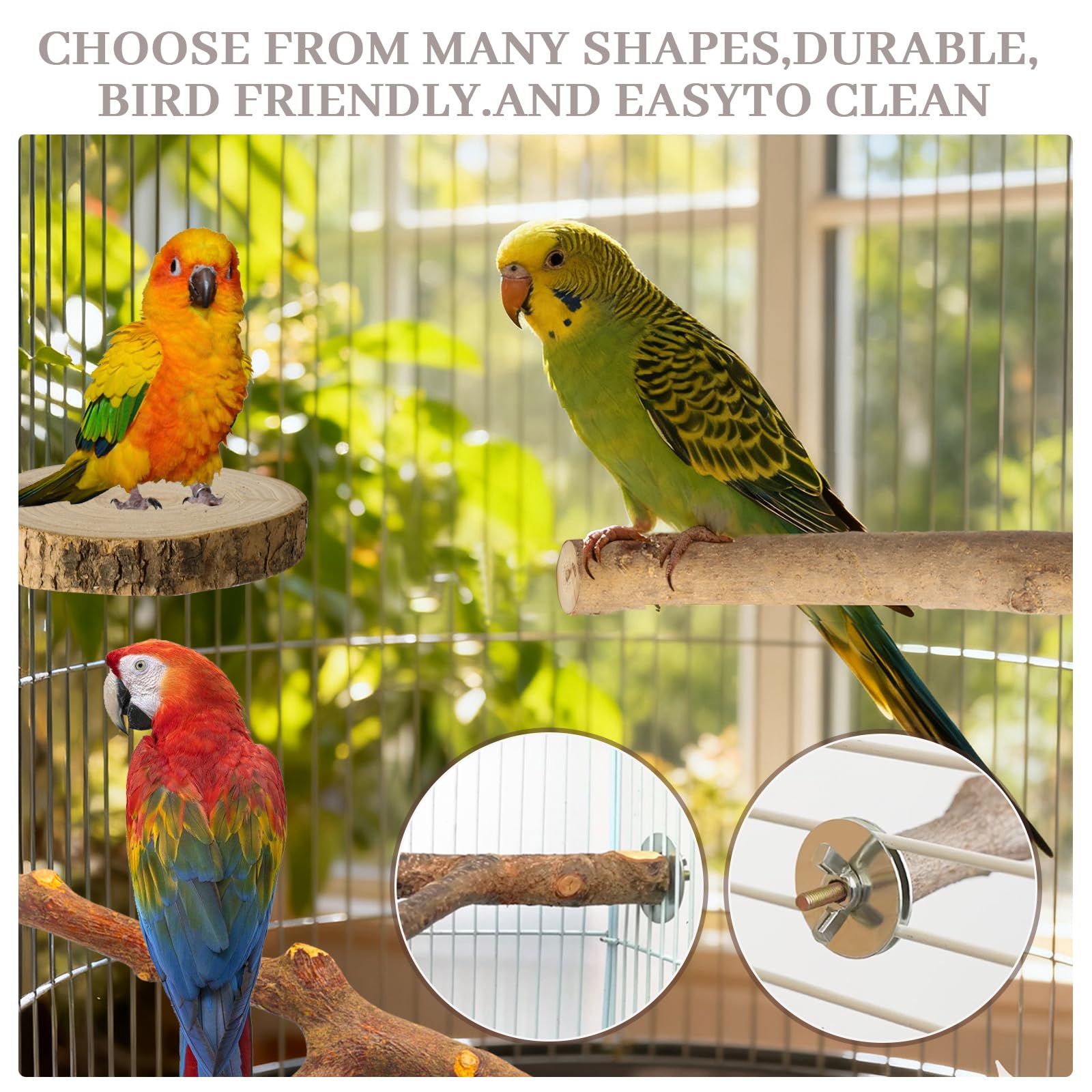 StyEdEk perchas adecuadas para aves pequeñas y medianas