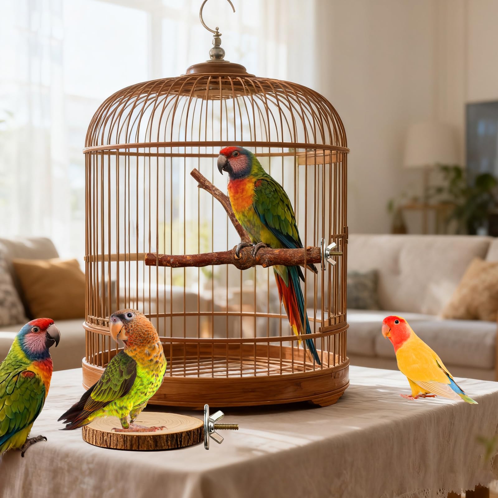StyEdEk juego de perchas y accesorios para aves exploradoras