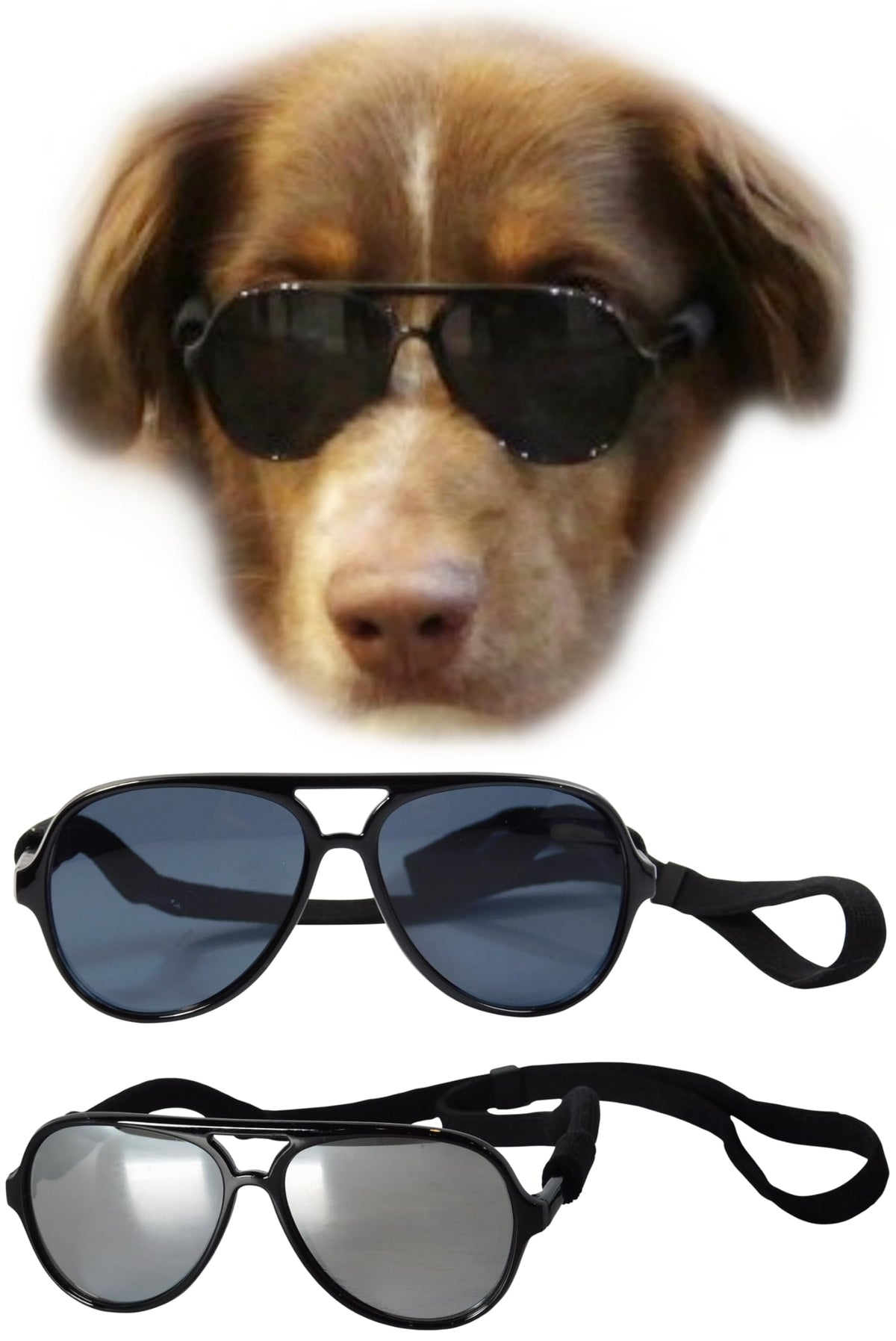 Style Vault G010 gafas aviador para perro mediano con estilo y protección durante paseos.