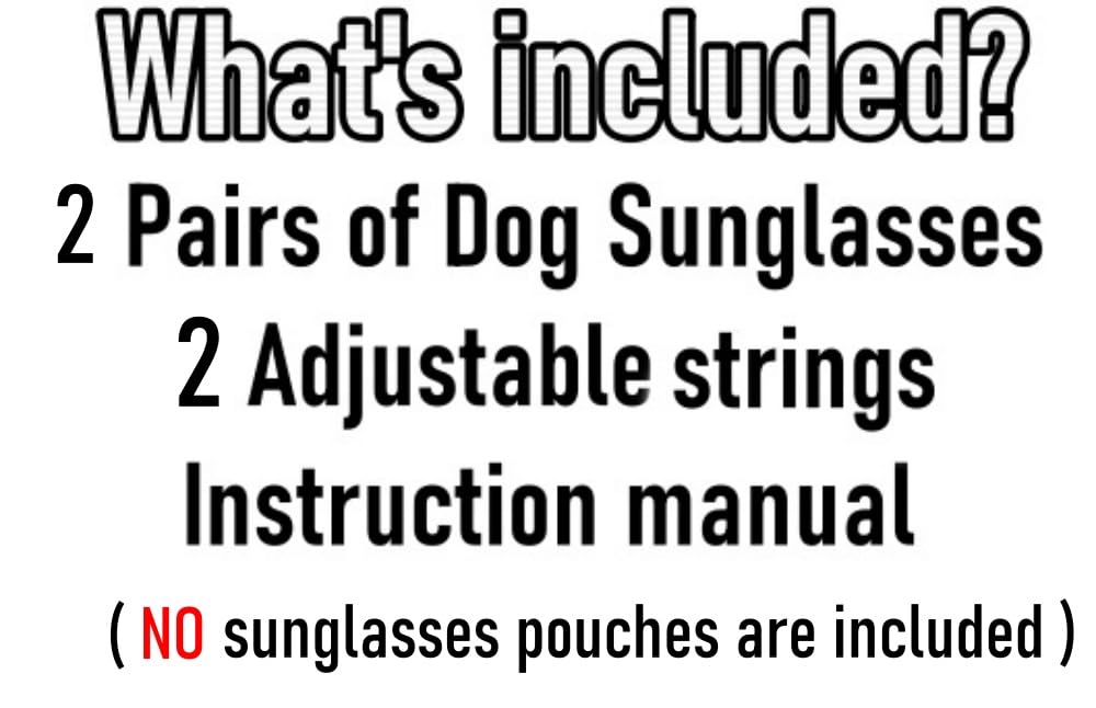 Style Vault G010 gafas para perros, uso en exteriores con diseño llamativo.