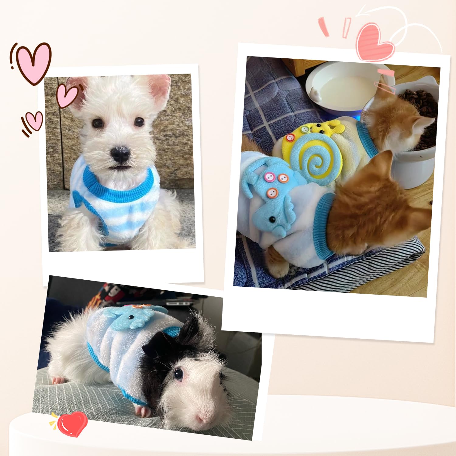 Suéter canino de dos piezas en azul, cálido y moderno para días fríos