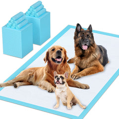 SUGUNING almohadillas absorbcion extra grandes protegen el piso durante el entrenamiento