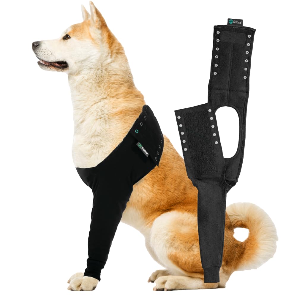 Suitical manga recuperación frente-pierna perro, protege la herida y evita lamidos en casa.