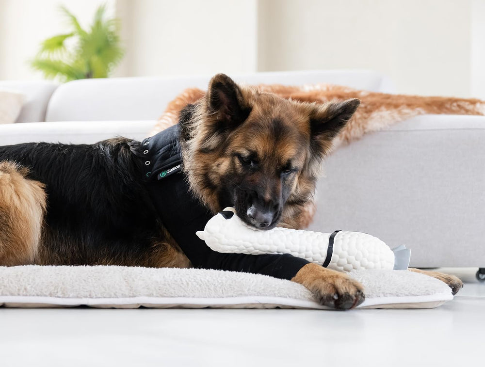 Suitical Manga de Recuperación para Perro, pierna frontal: protección estable y cómoda.