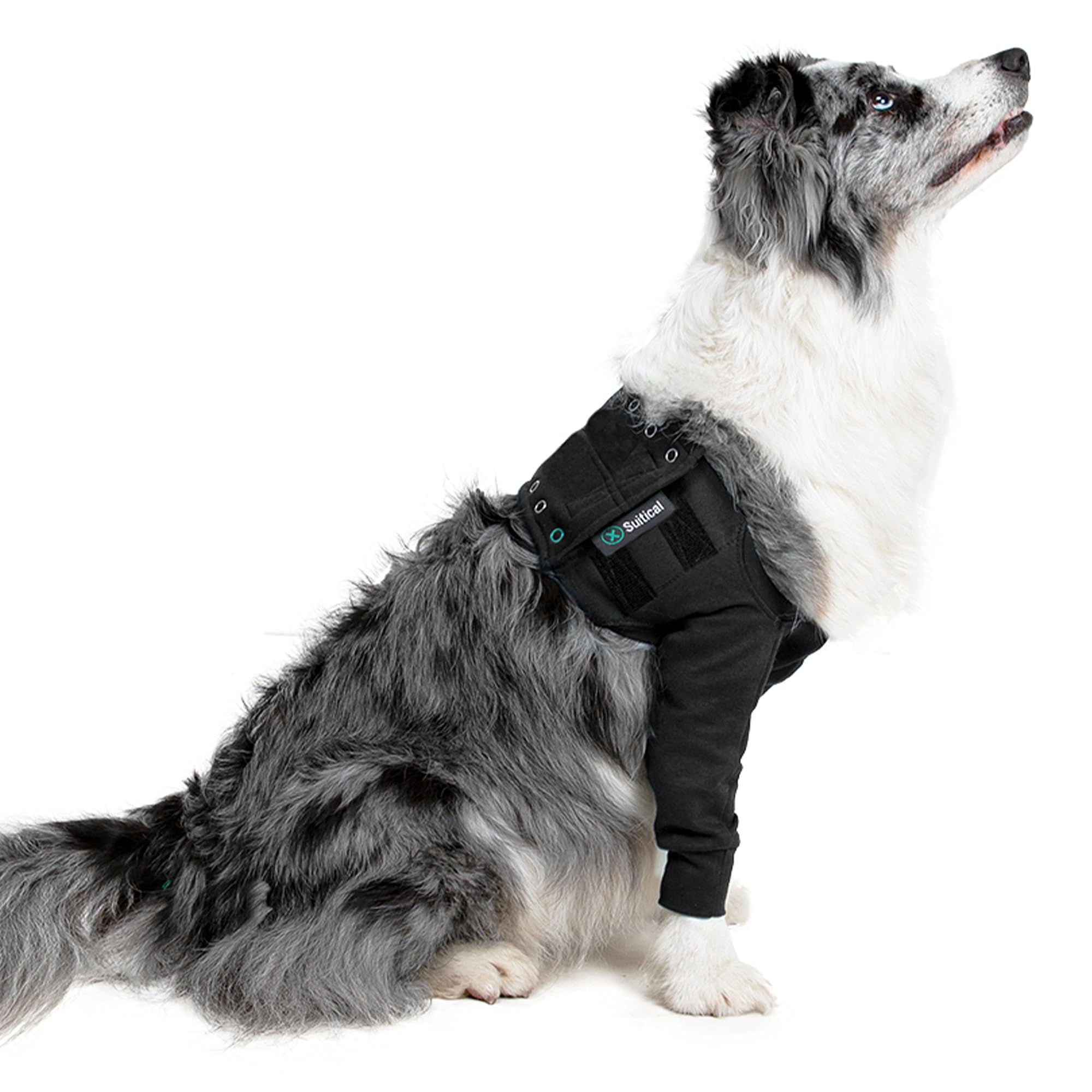 Suitical Recovery doble manga frontal para pierna de perro, protege heridas y evita lamidos.