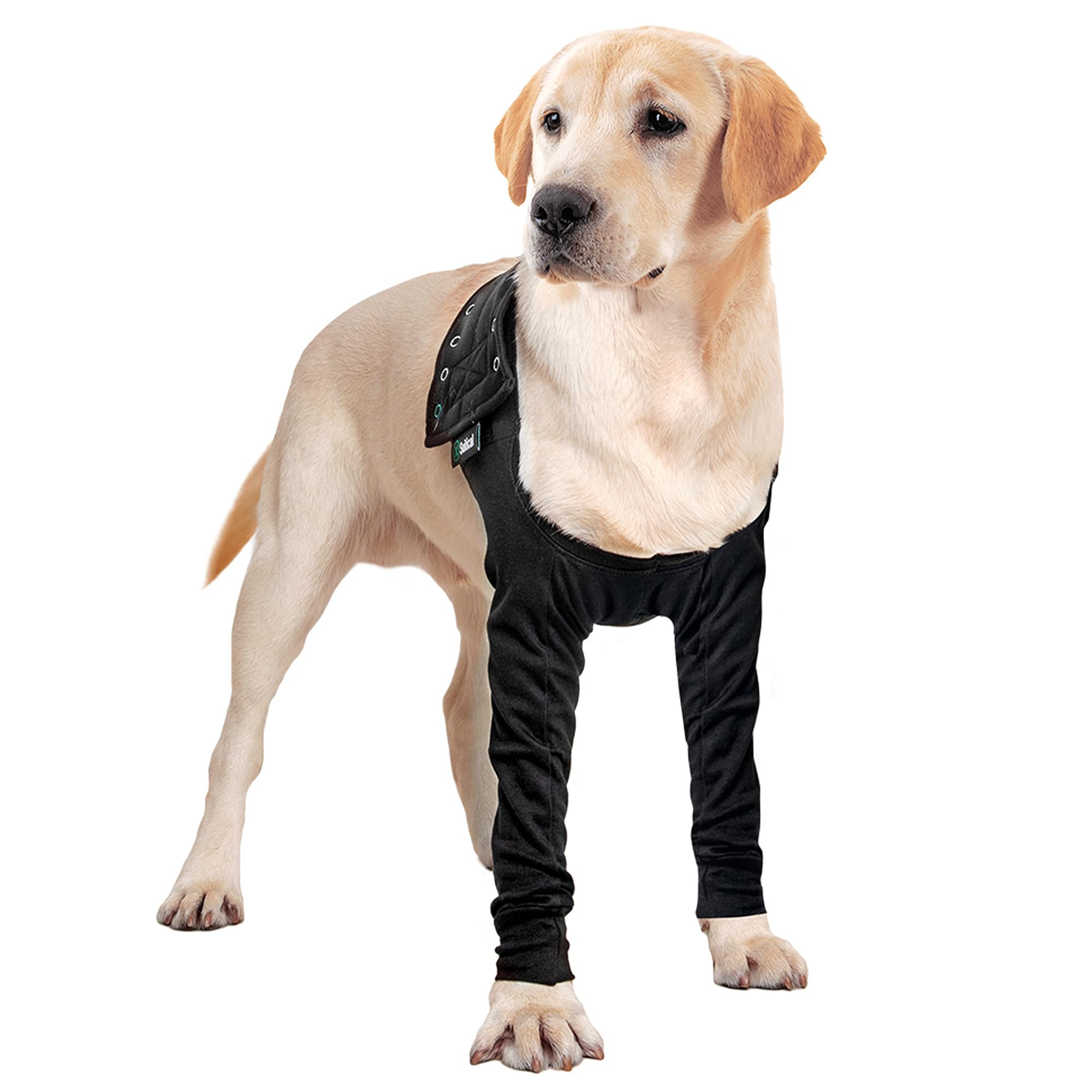 Suitical manga doble para perros en vista frontal mostrando protección de patas delanteras.