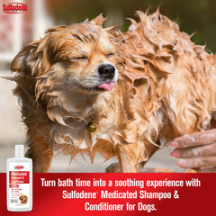 Perro en ducha usando Sulfodene: experiencia calmada de baño.