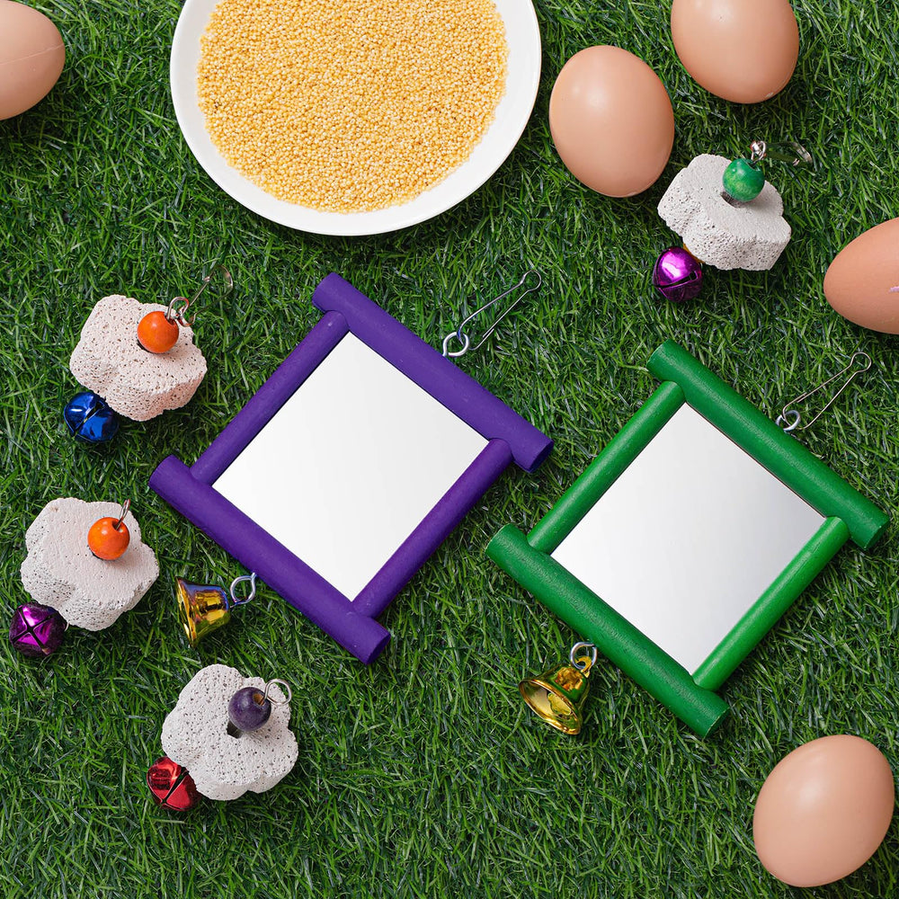 Sumind colores verde y morado atraen a las aves y elevan su ánimo